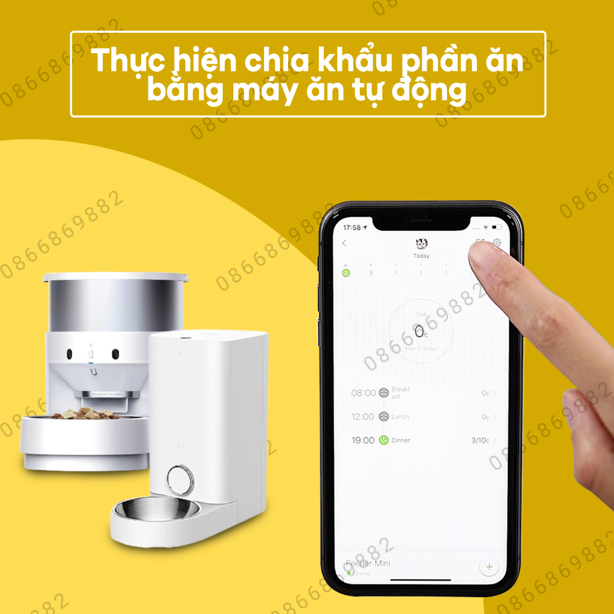 Chia khẩu phần ăn bằng máy ăn tự động Petkit
