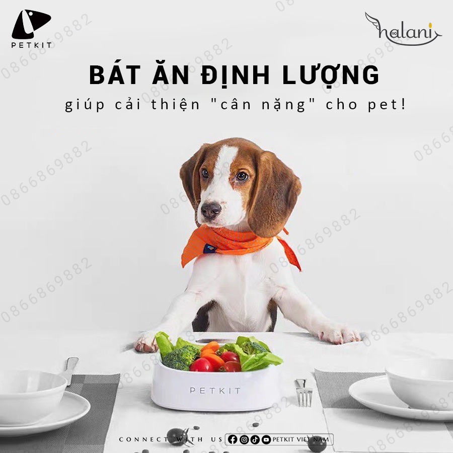 Bát ăn định lượng