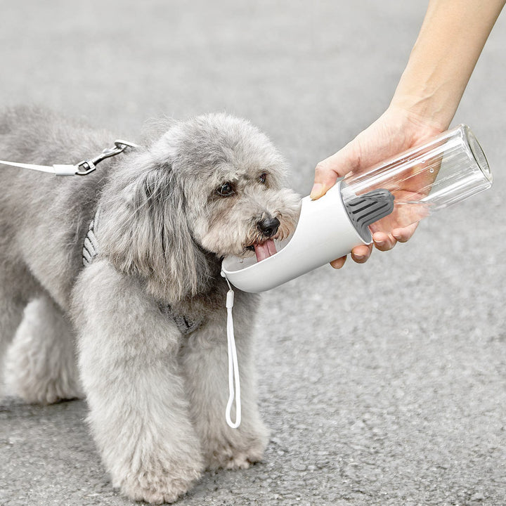bình nước petkit, bình nước di động cho thú cưng