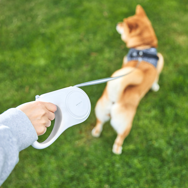 Dây dắt Petkit Goshine
