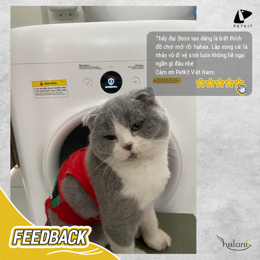 Feedback khách hàng 5