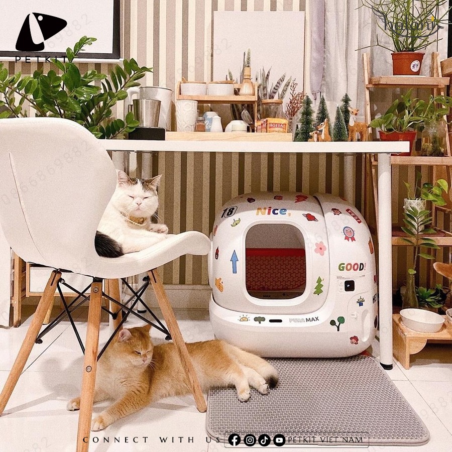 máy dọn vệ sinh tự động pura max