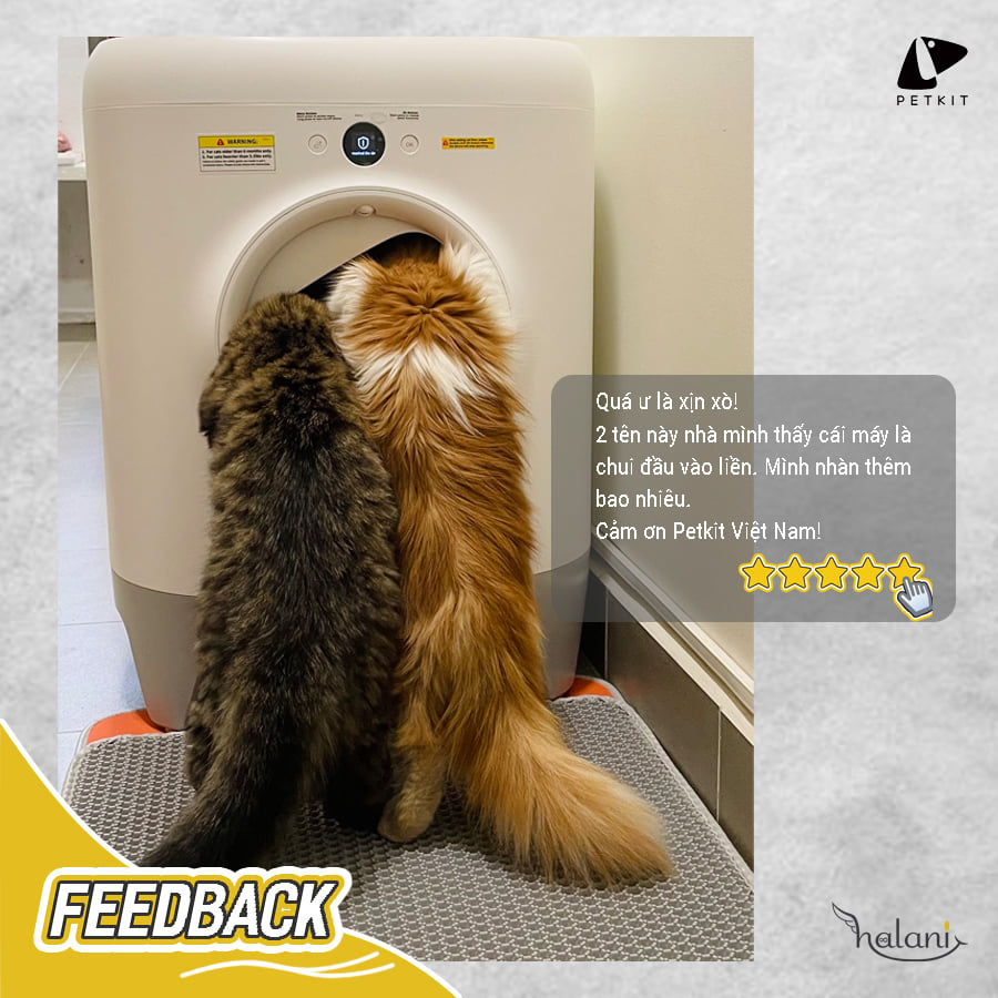 Feedback khách hàng 4