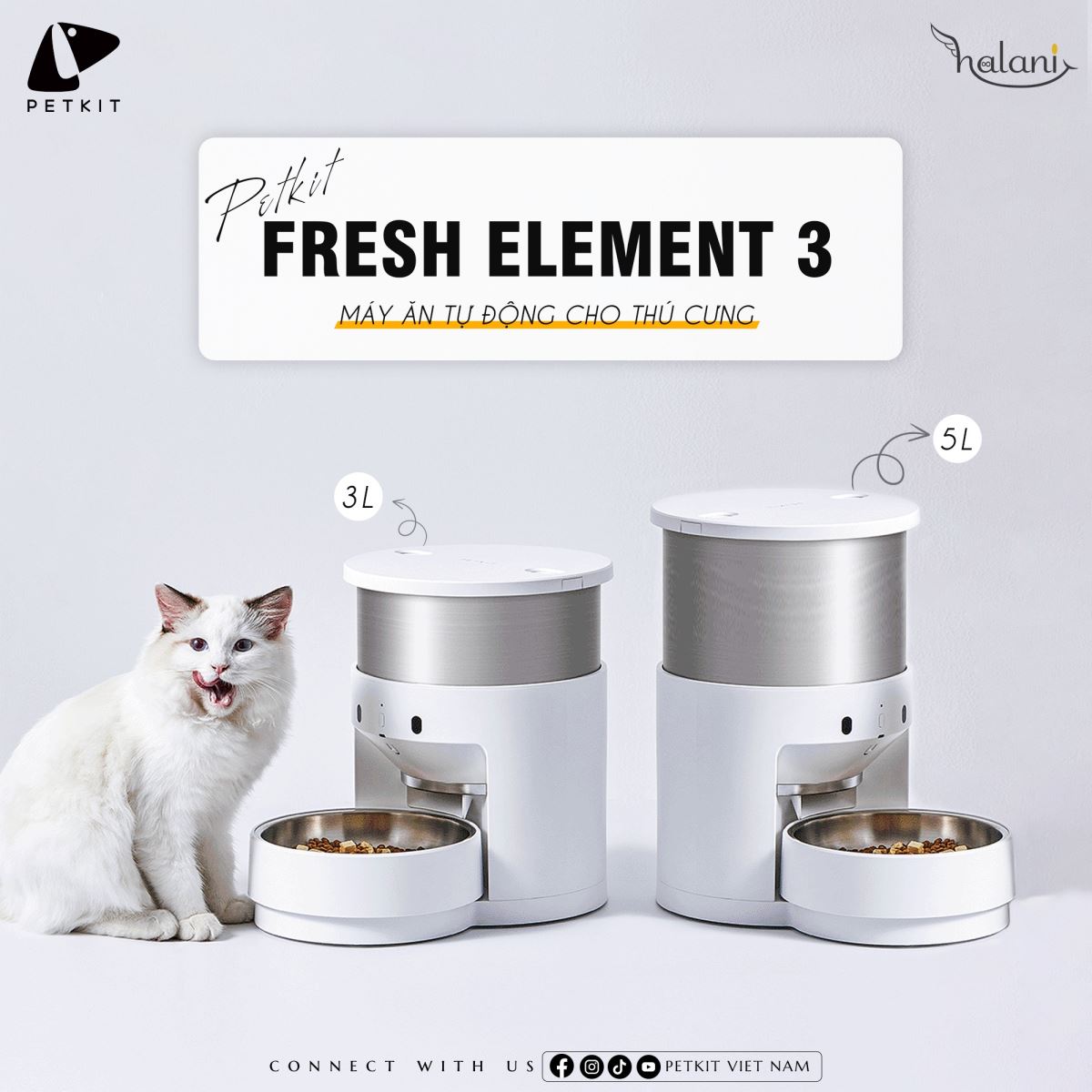 Máy ăn Element cho thú cưng