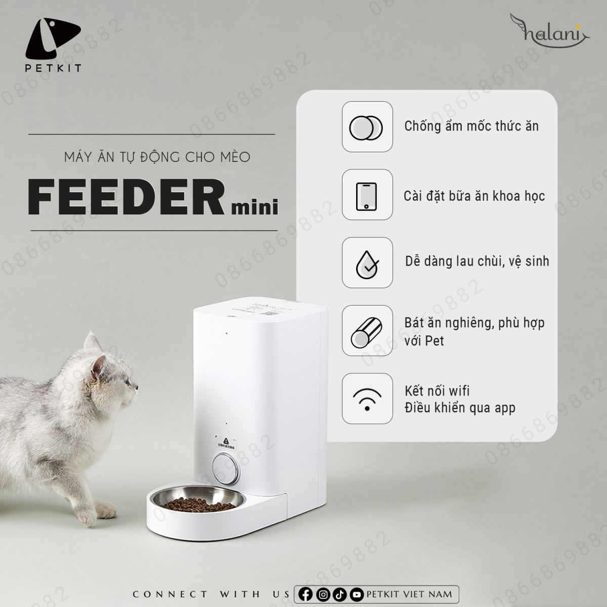máy ăn tự động cho thú cưng petkit