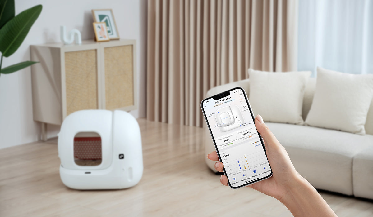 Pura max kết nối app