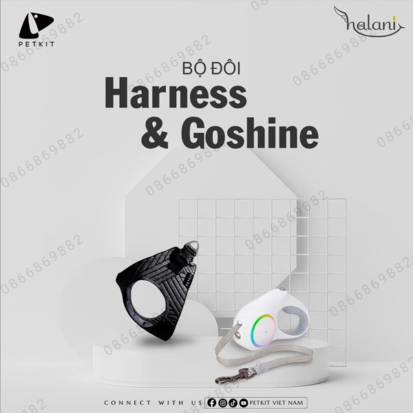 Vì sao nên sử dụng bộ đôi Goshine Harness