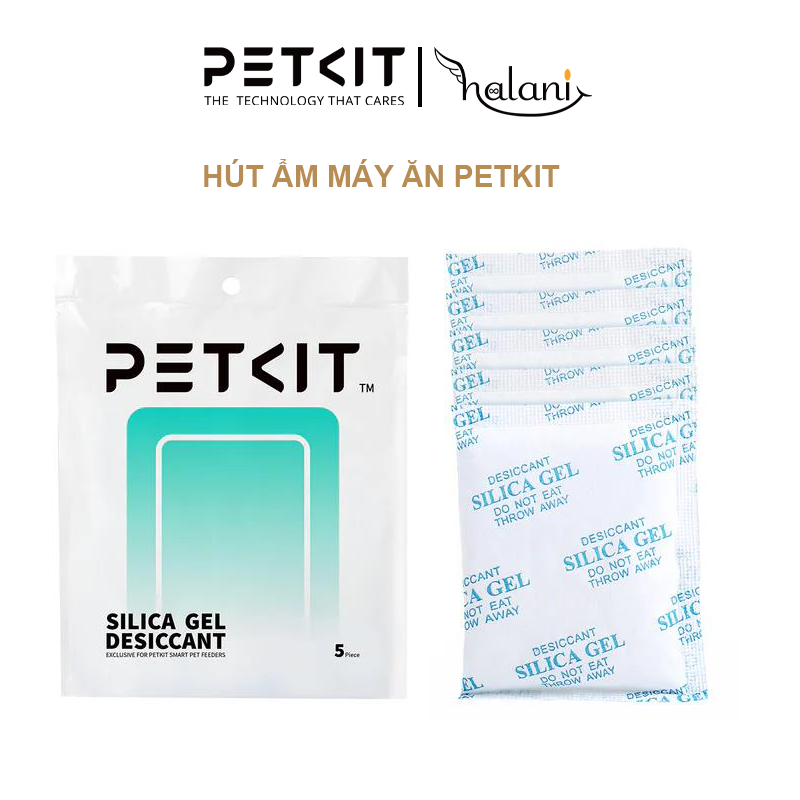 hut-am.png